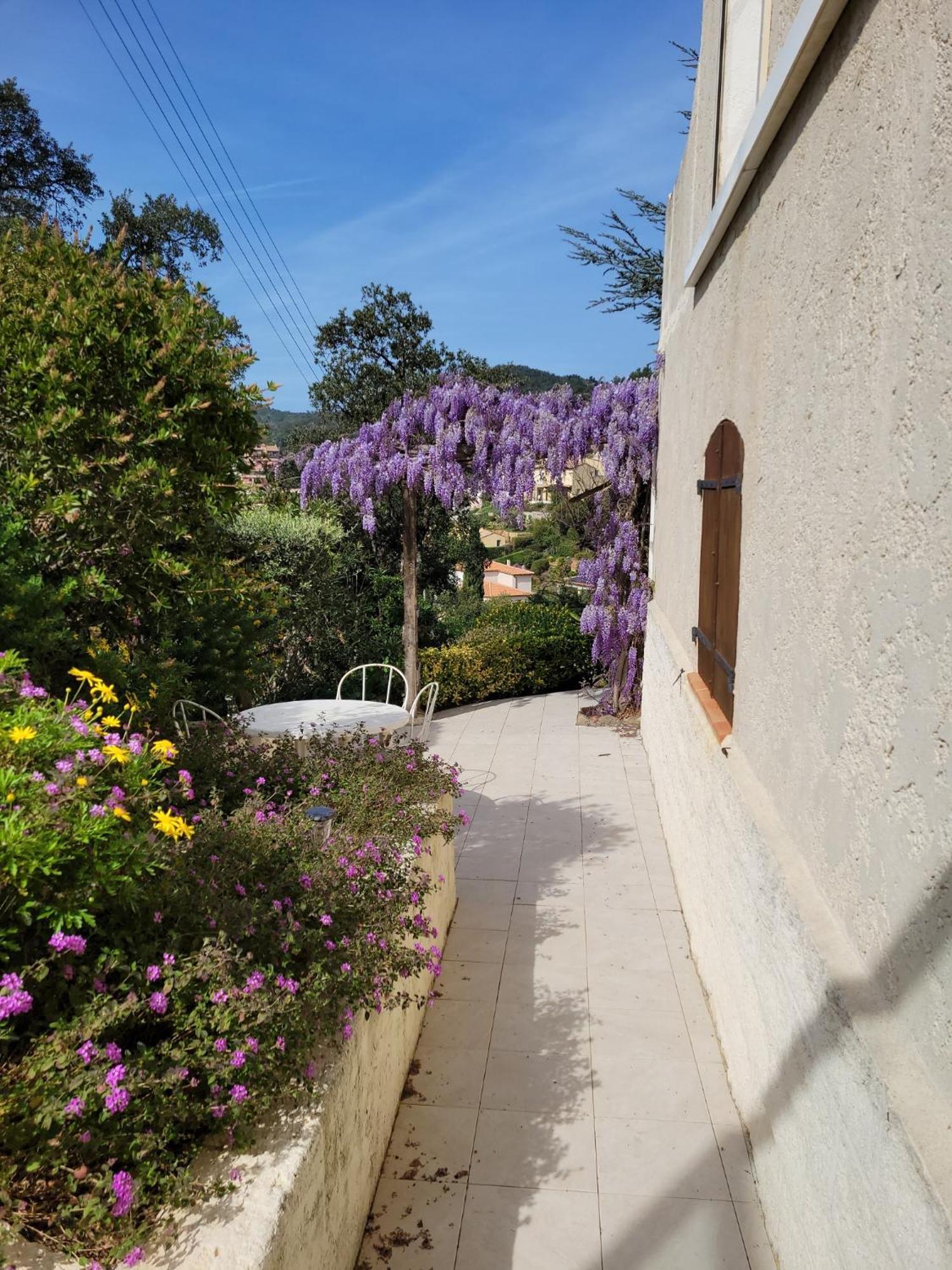 הייר Appartements Dans Villa En Rez De Jardin מראה חיצוני תמונה
